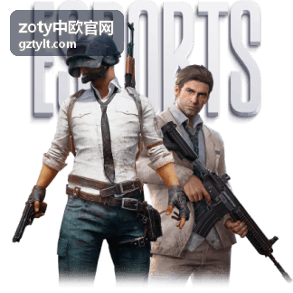 zoty中欧官网中欧班列运输服务示意