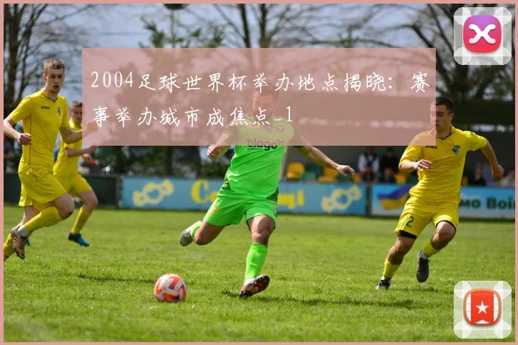 2004足球世界杯举办地点揭晓:赛事举办城市成焦点_1